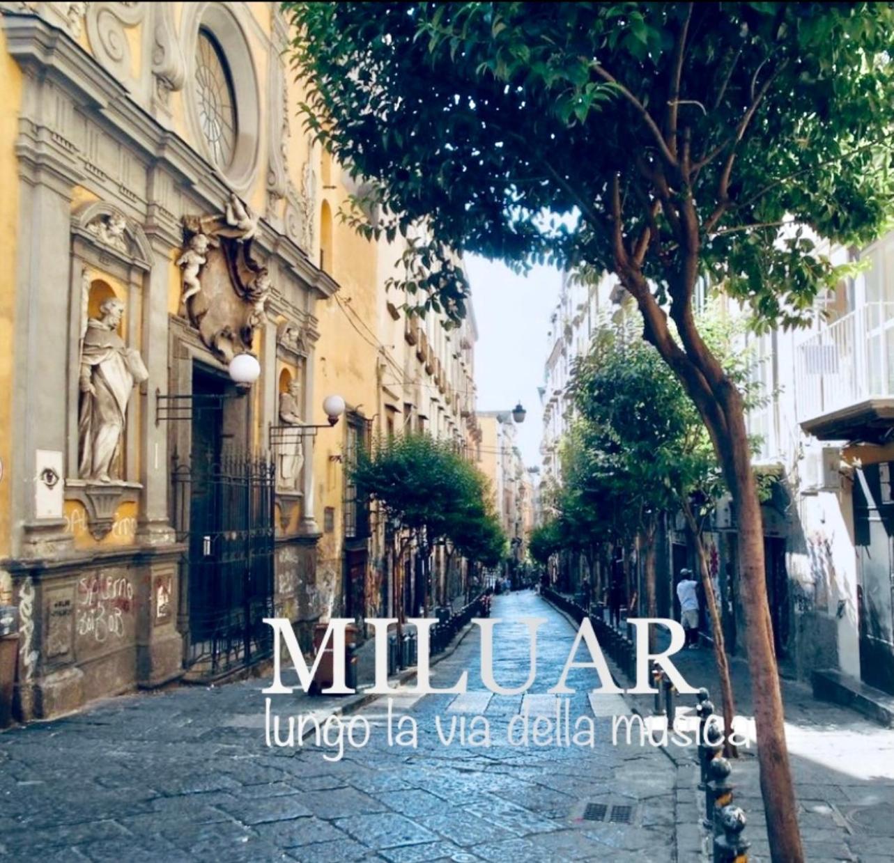 Bed and Breakfast Miluar - Centro Storico - Lungo La Via Della Musica Неаполь Экстерьер фото